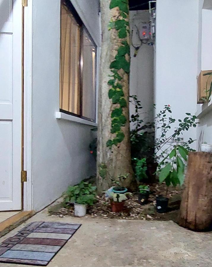 Villa Chungos Quebrada Ganado Екстер'єр фото